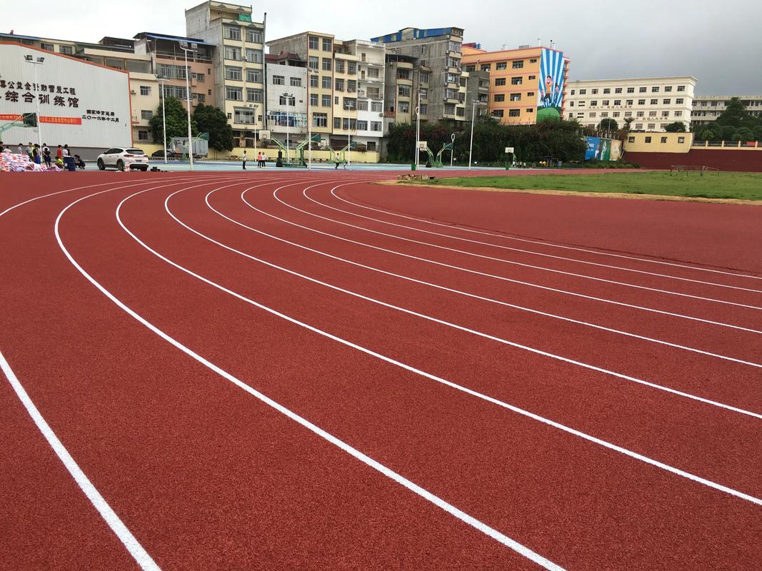宜宾市EPDM颗粒塑胶跑道材料 - 价格